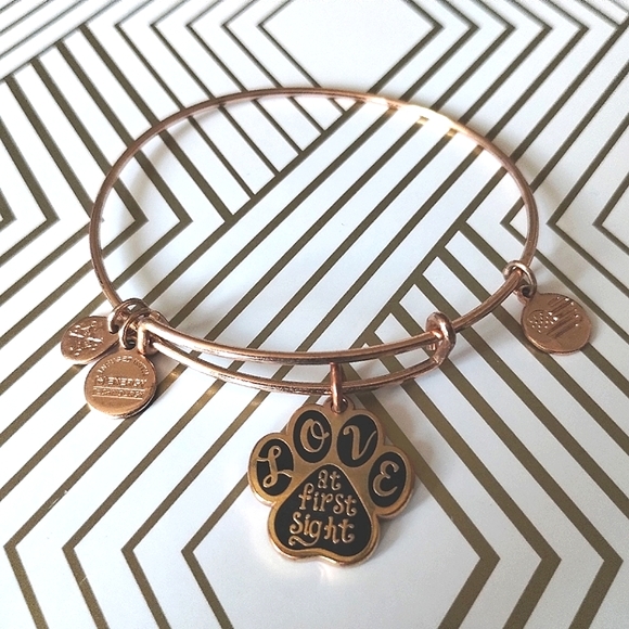 Alex and Ani Love at First Sight Pet Lover Bangle Charm Bracelet - Picture 6 of 8
